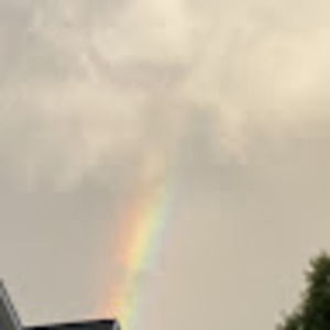 Meet your Posher, Ella